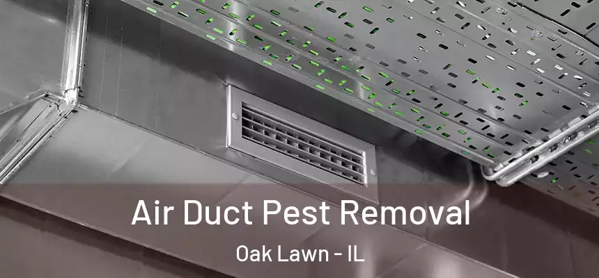 Air Duct Pest Removal Oak Lawn - IL