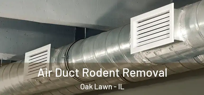 Air Duct Rodent Removal Oak Lawn - IL