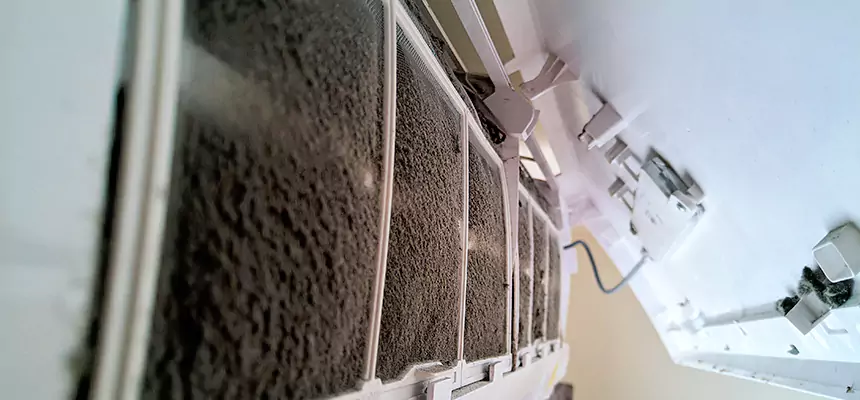 Preventive Air Duct Bacteria Removal in Oak Lawn