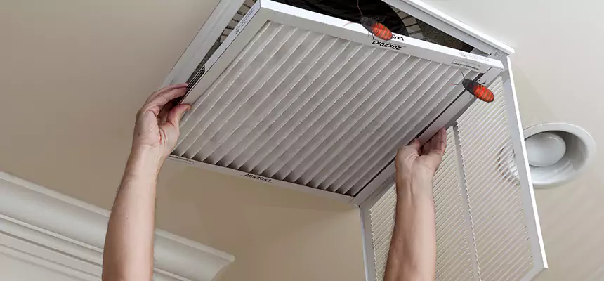 Preventive Cockroach-Proofing for Ducts in Oak Lawn