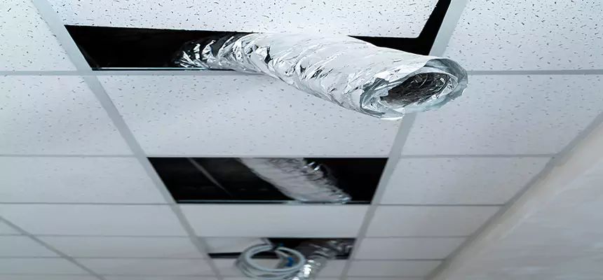 Our Air Duct Pet Hair Removal Services in Oak Lawn, IL