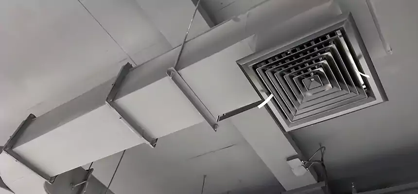 Restorative Allergy Relief Vent Cleaning – Coil, Blower & Housing Detail in Oak Lawn