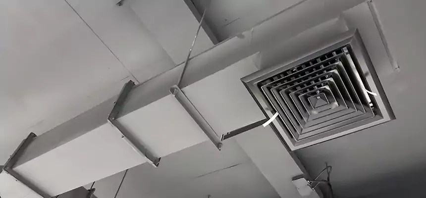 Our Rodent Droppings In Vents Services in Oak Lawn, IL