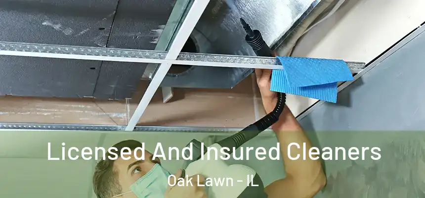  Licensed And Insured Cleaners Oak Lawn - IL
