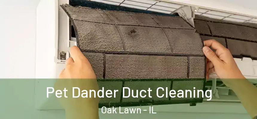 Pet Dander Duct Cleaning Oak Lawn - IL