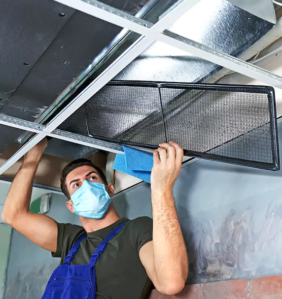 About Air Duct Bacteria Removal in Oak Lawn