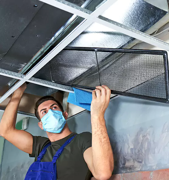 Professional Air Duct Pollen Cleaning in Oak Lawn, IL
