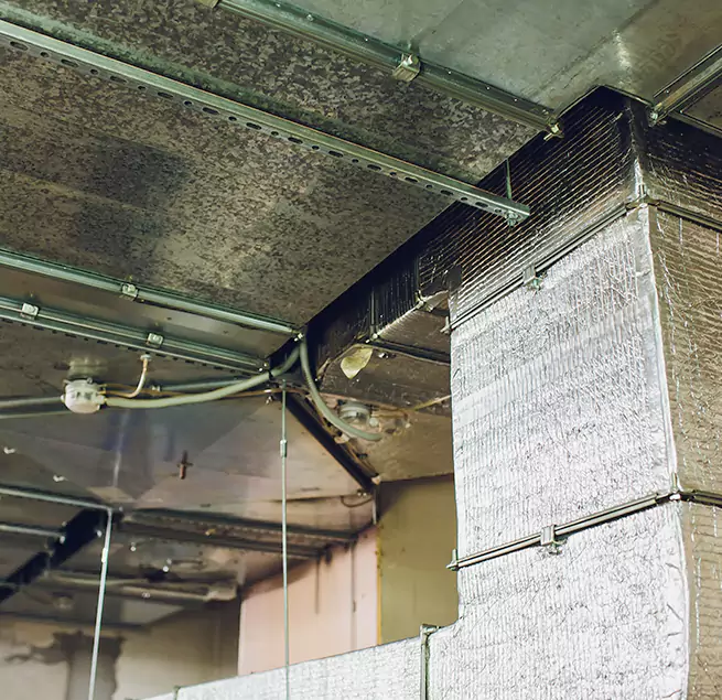 Why Homeowners & Businesses Trust Us in Oak Lawn, IL?